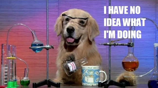 ÐаÑÑинки по запÑоÑÑ have no idea what i'm doing dog
