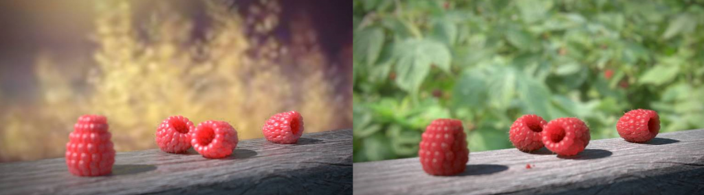 raspberries3