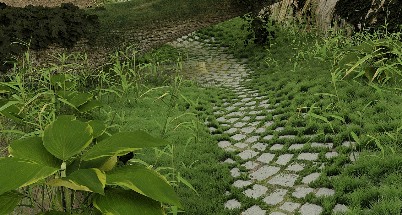 Forest Road