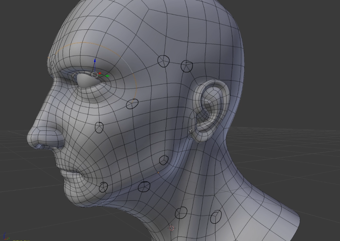 Screen shot of human head in Blender 3D