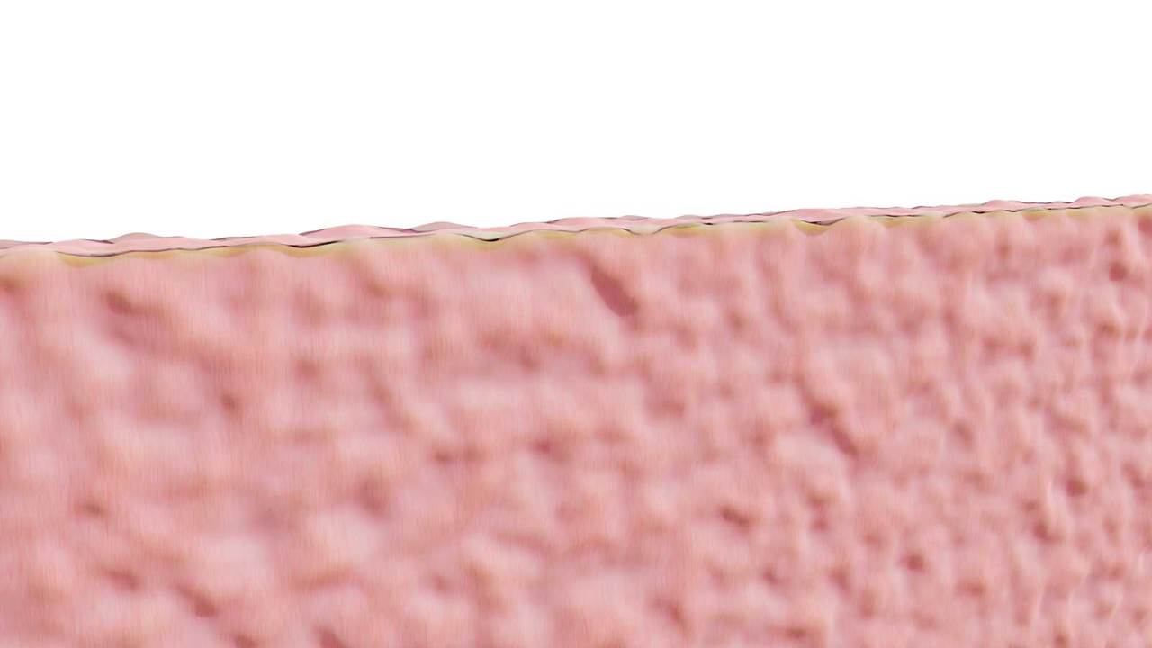 Insulation_Render_3_web.jpg