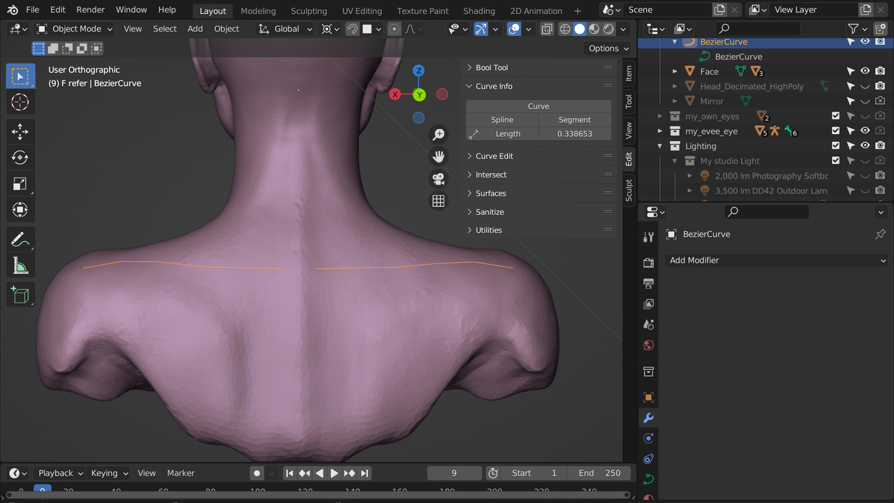 face_3110 after applying the shrinkwrap modifier.jpg