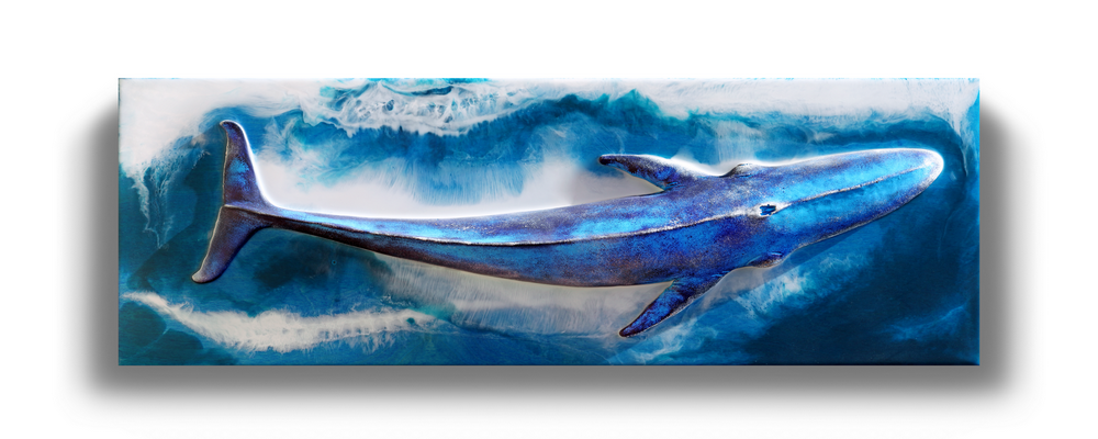mmer_Whale_Light.png