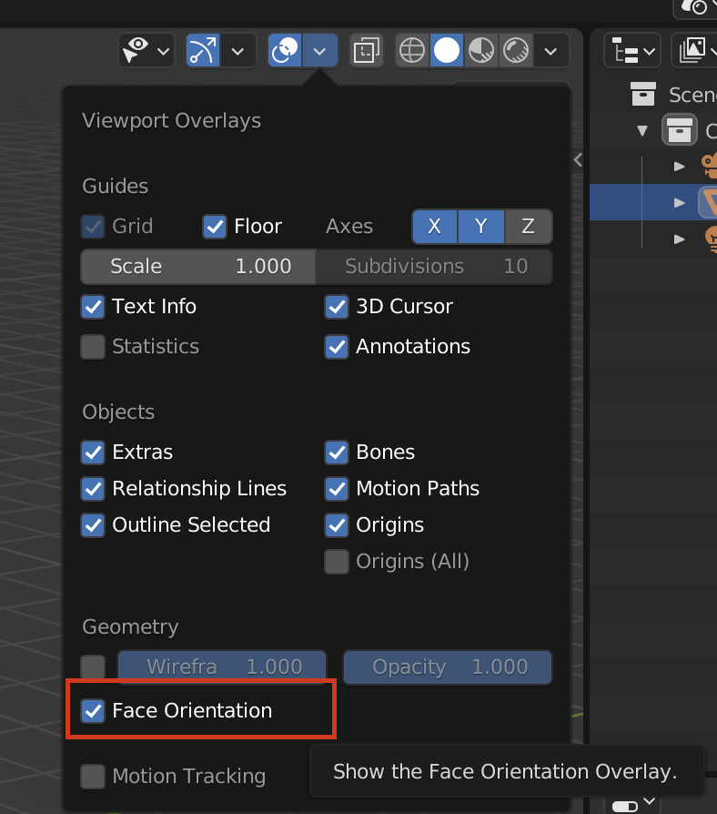 face Orientation.png