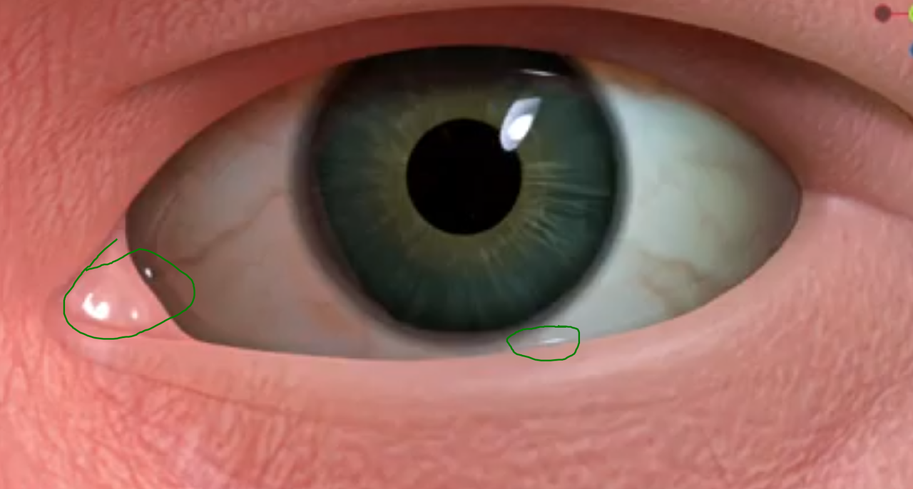 Meniscus.png
