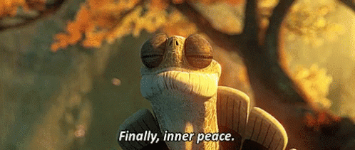 ay-kung-fu-panda.gif