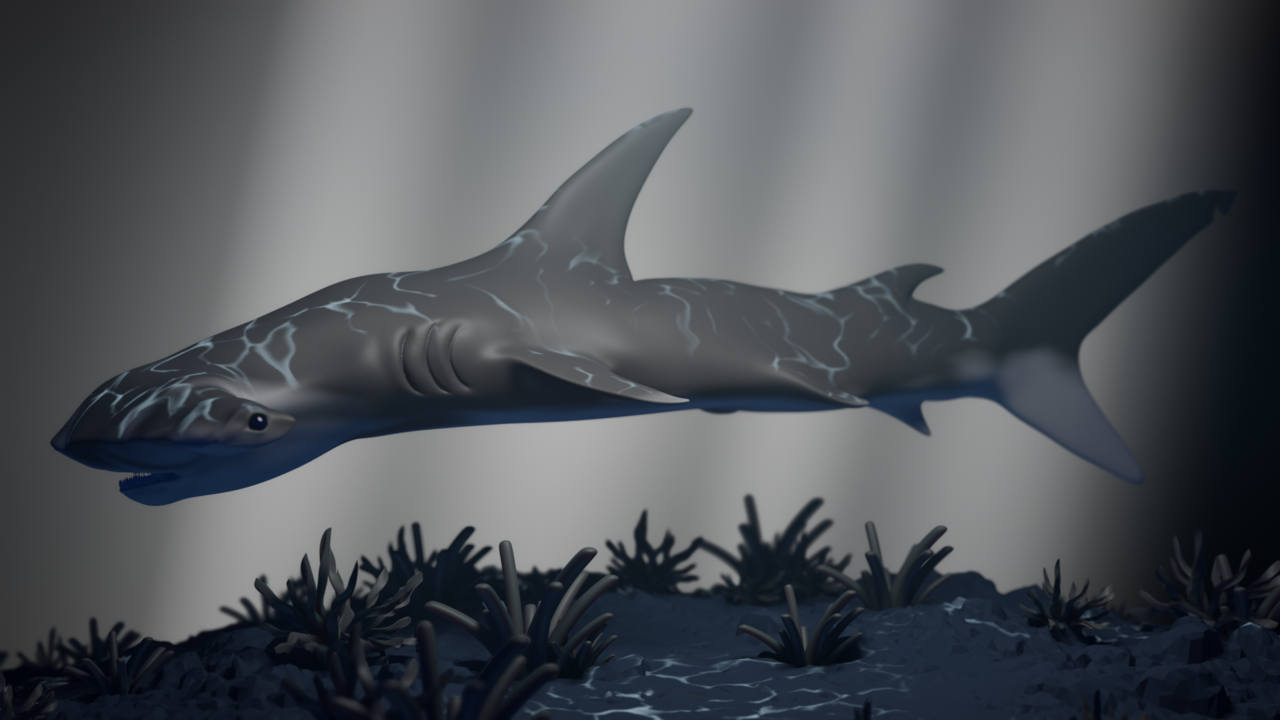 shark.png