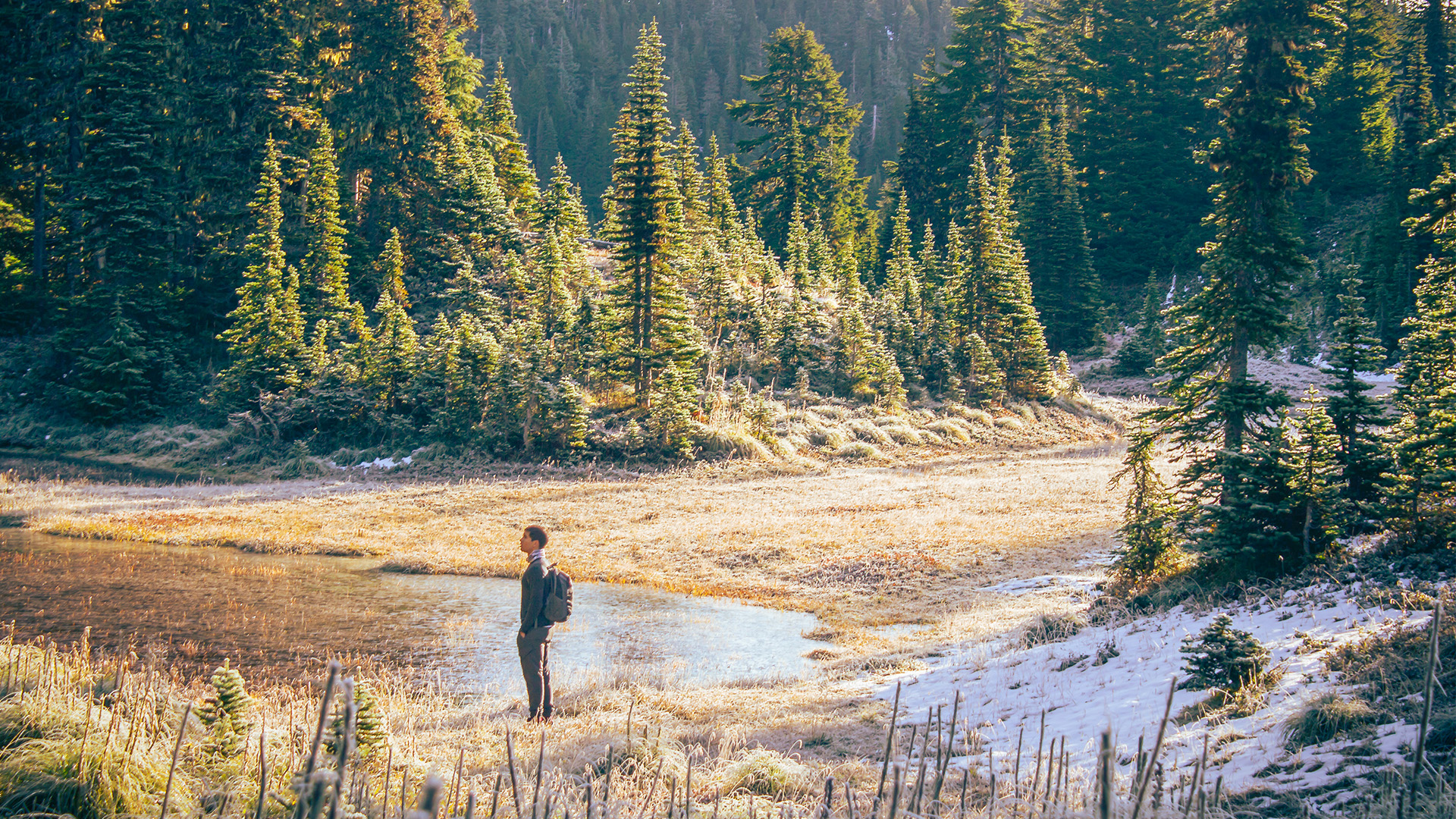 Fueling Artistic Creativity: Insights from 3D Artists