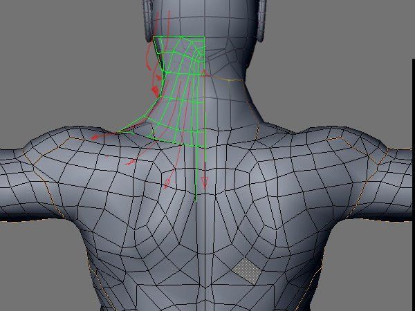 atomy-2821791672.jpg