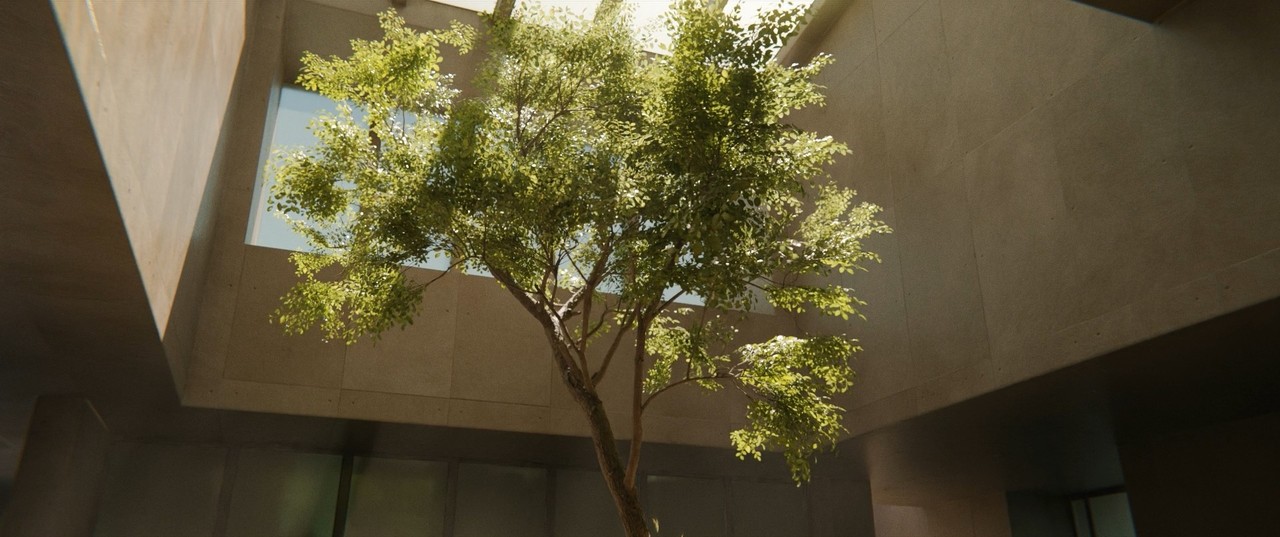 e_andy-begg_tree.jpg