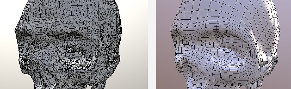 quad_remesh.jpg