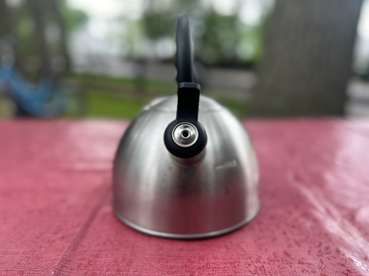 IMG_8034.jpeg