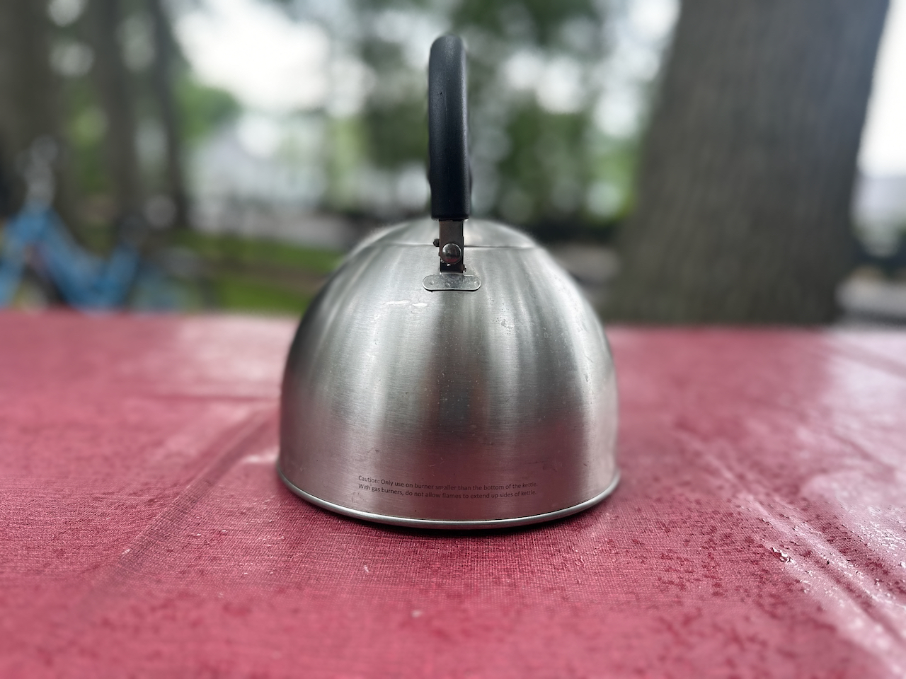 IMG_8033.jpeg