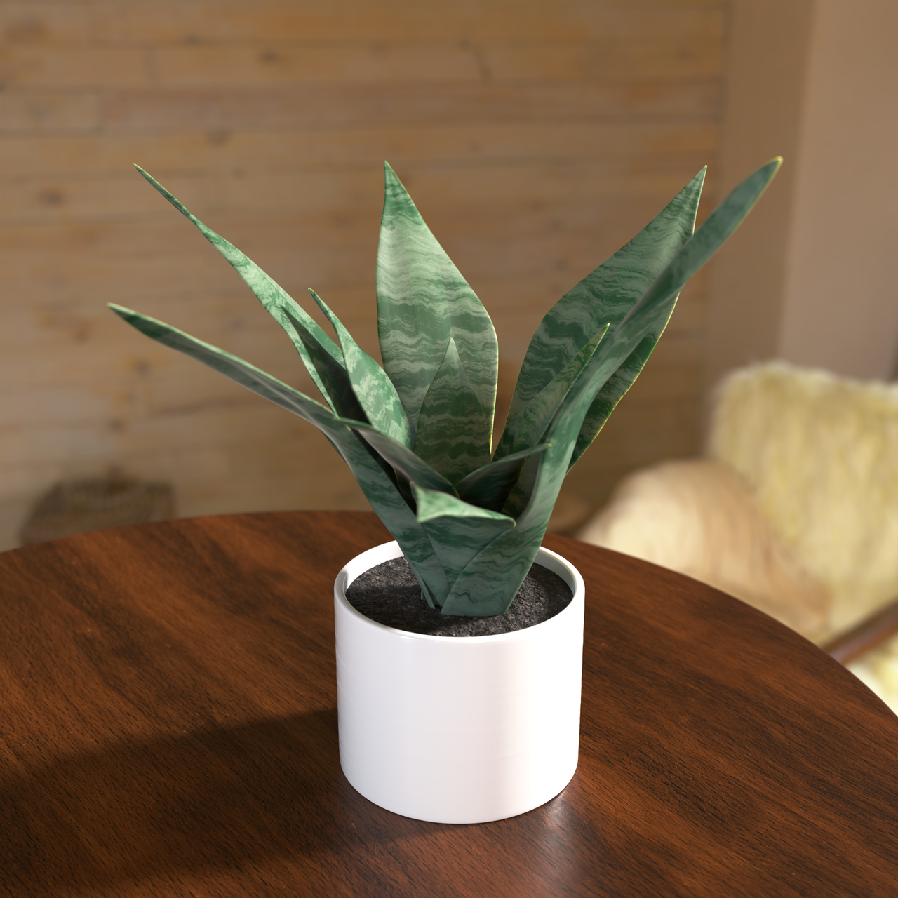 June16_plant.jpg