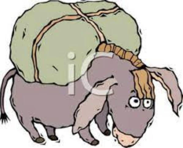 Mule.png