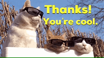 to-gif-converter.gif