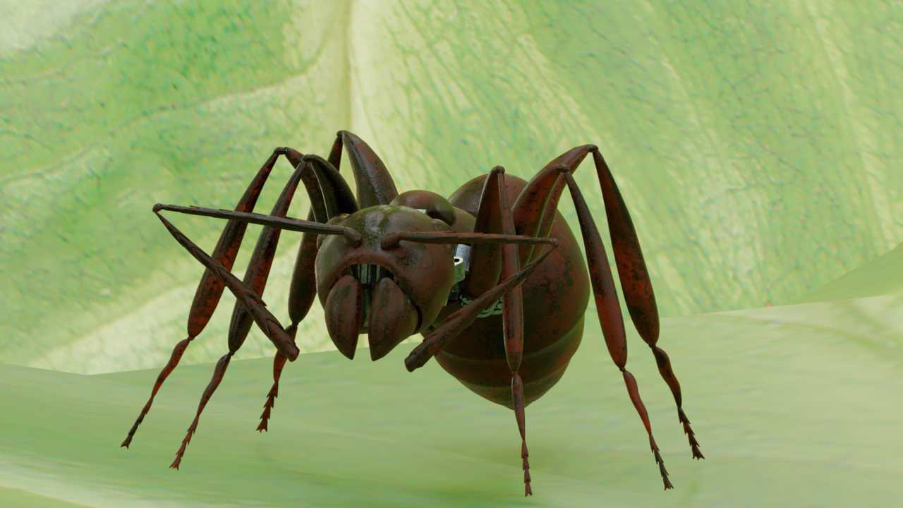 ant 1.png