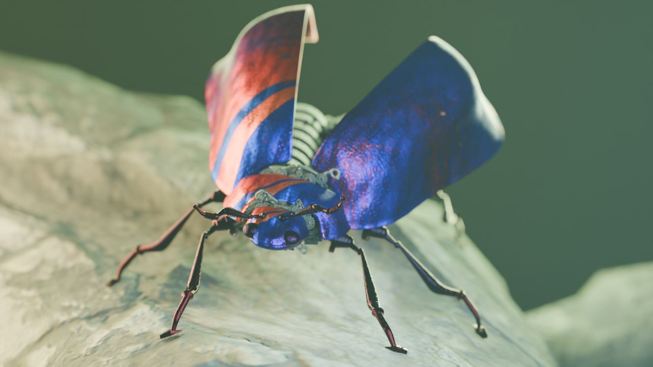 bug 1 - 2.png