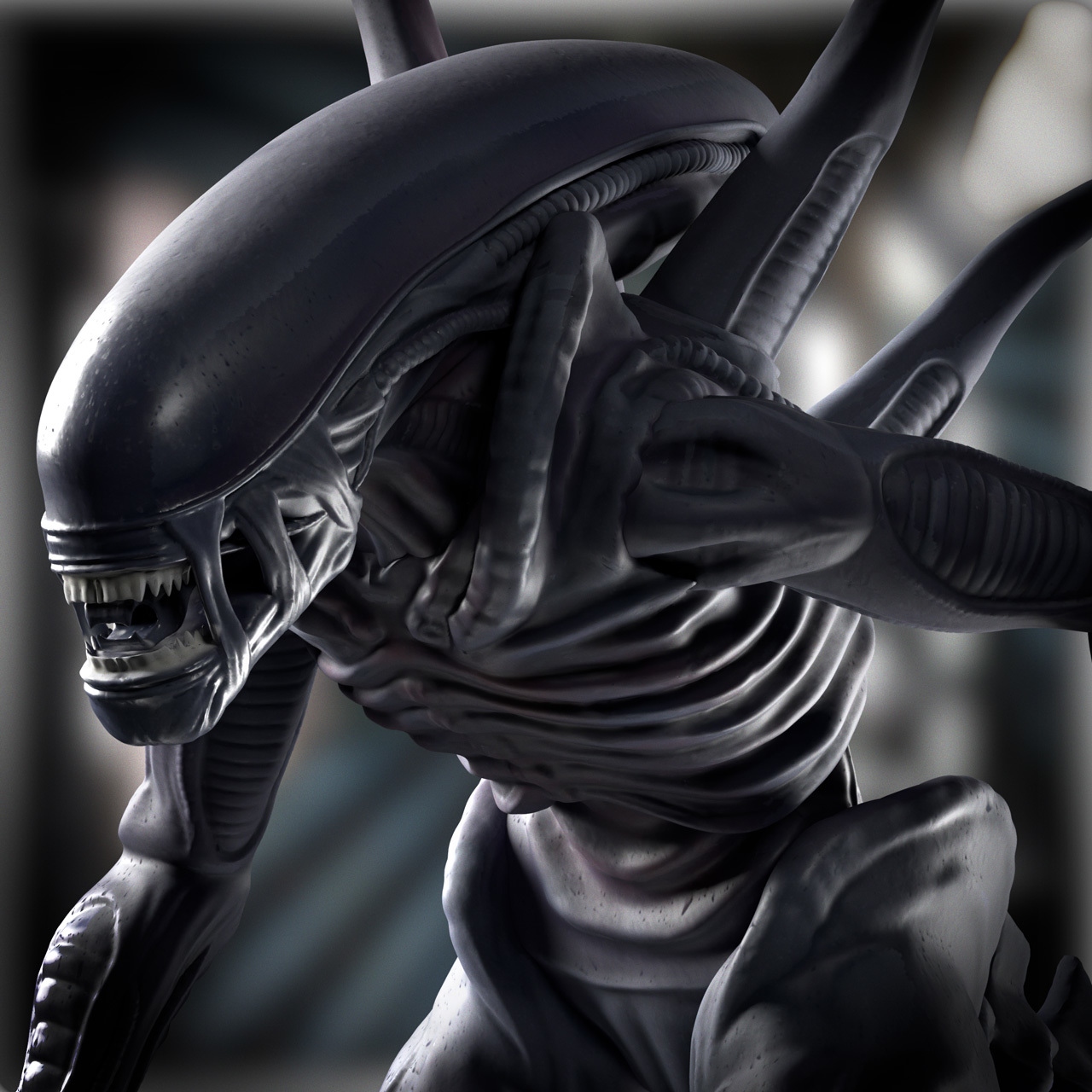 xenomorph.jpg