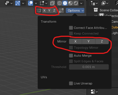 Topology-Mirror.png