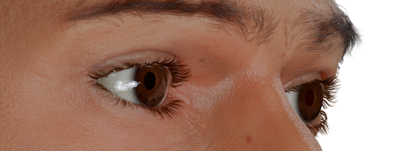 Region Eyes_crop.png