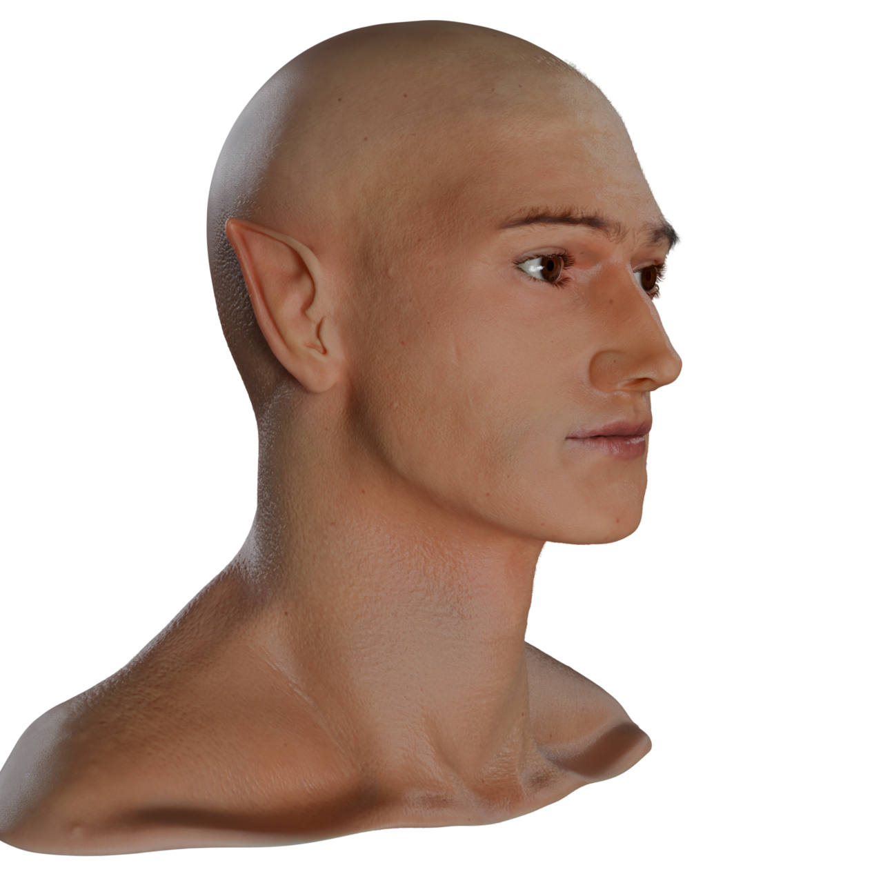 0003_LQ.png